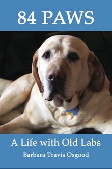 84 Paws Book Cover